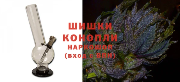 дурь Осташков