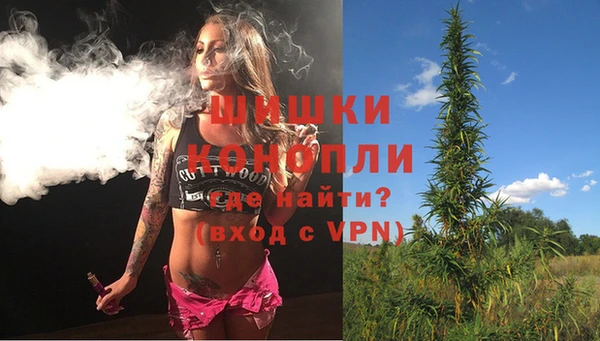 дурь Осташков