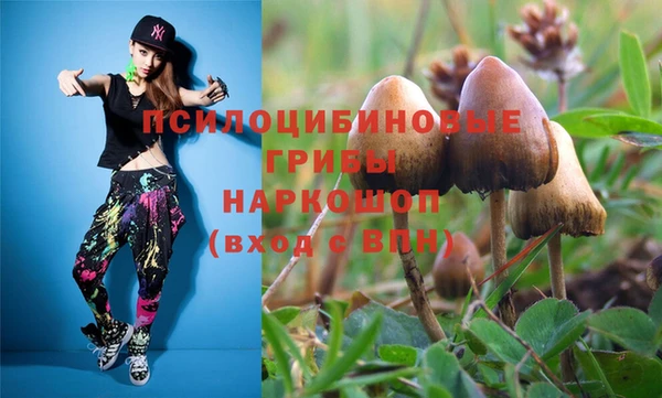 spice Осинники