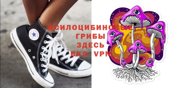 spice Осинники