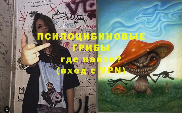 стаф Нязепетровск