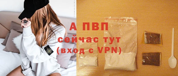 spice Осинники