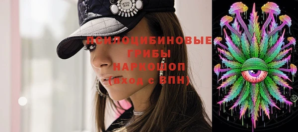 spice Осинники