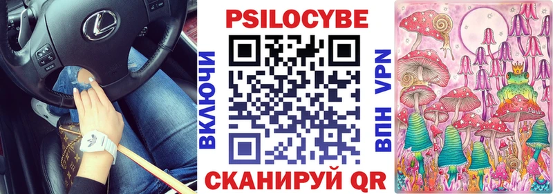 даркнет как зайти  сколько стоит  Ивантеевка  Галлюциногенные грибы Cubensis 