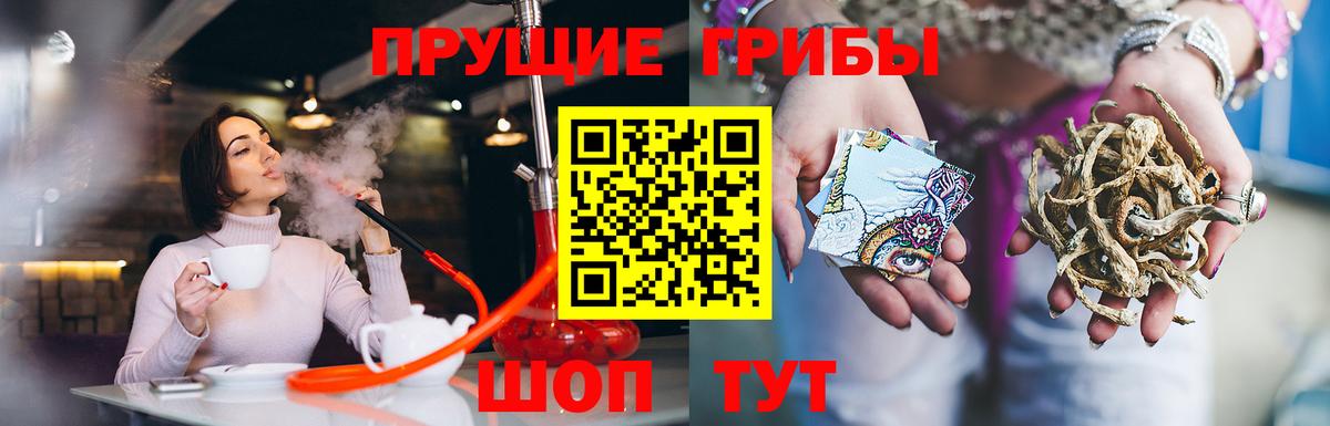 Псилоцибиновые грибы Cubensis  продажа наркотиков  Ивантеевка  Галлюциногенные грибы Magic Shrooms  Вход с VPN 